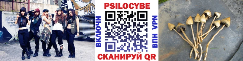 Псилоцибиновые грибы GOLDEN TEACHER  как найти   blacksprut tor  Сорочинск 