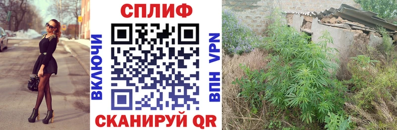 KRAKEN   Сорочинск  Шишки марихуана SATIVA & INDICA 